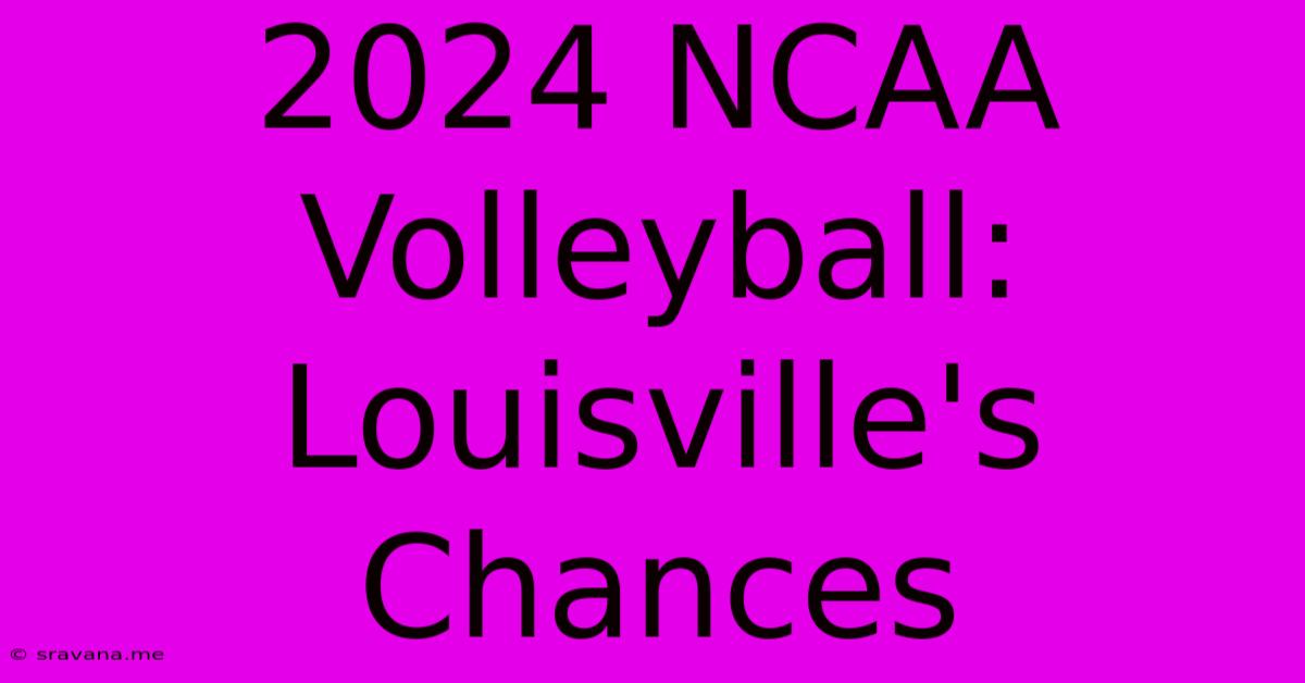 2024 NCAA Volleyball: Louisville's Chances