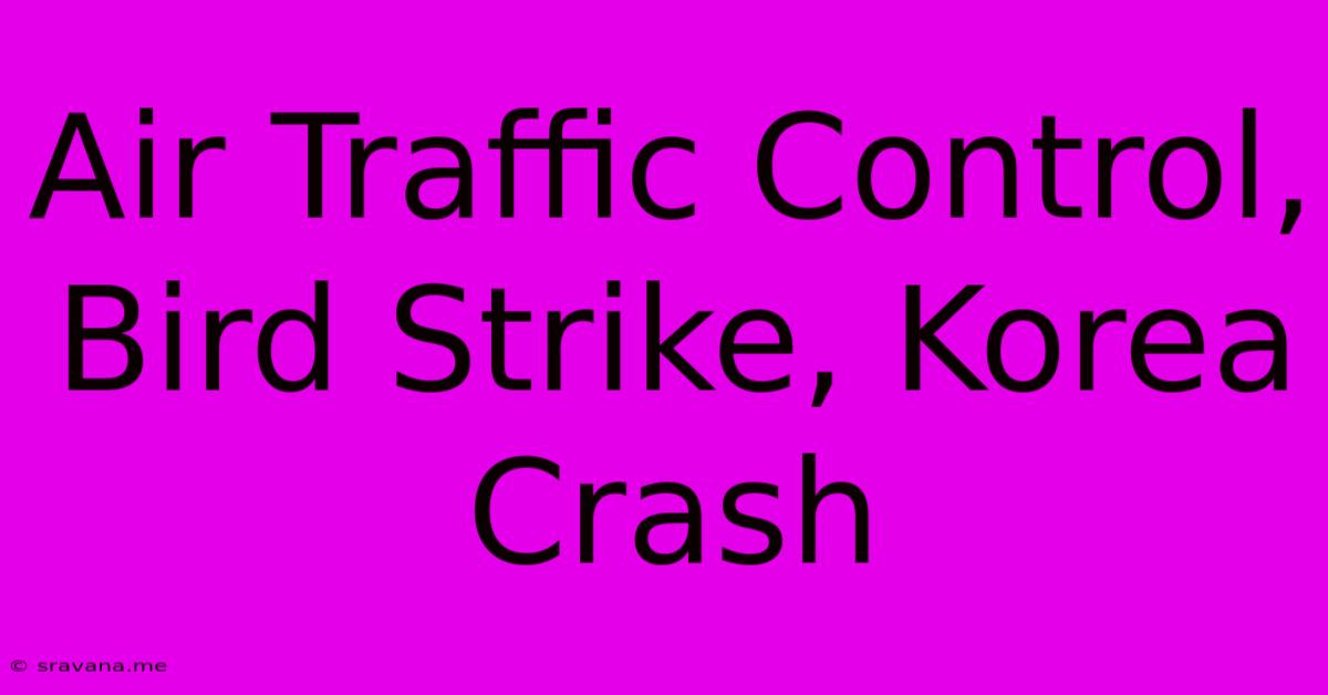 Air Traffic Control, Bird Strike, Korea Crash