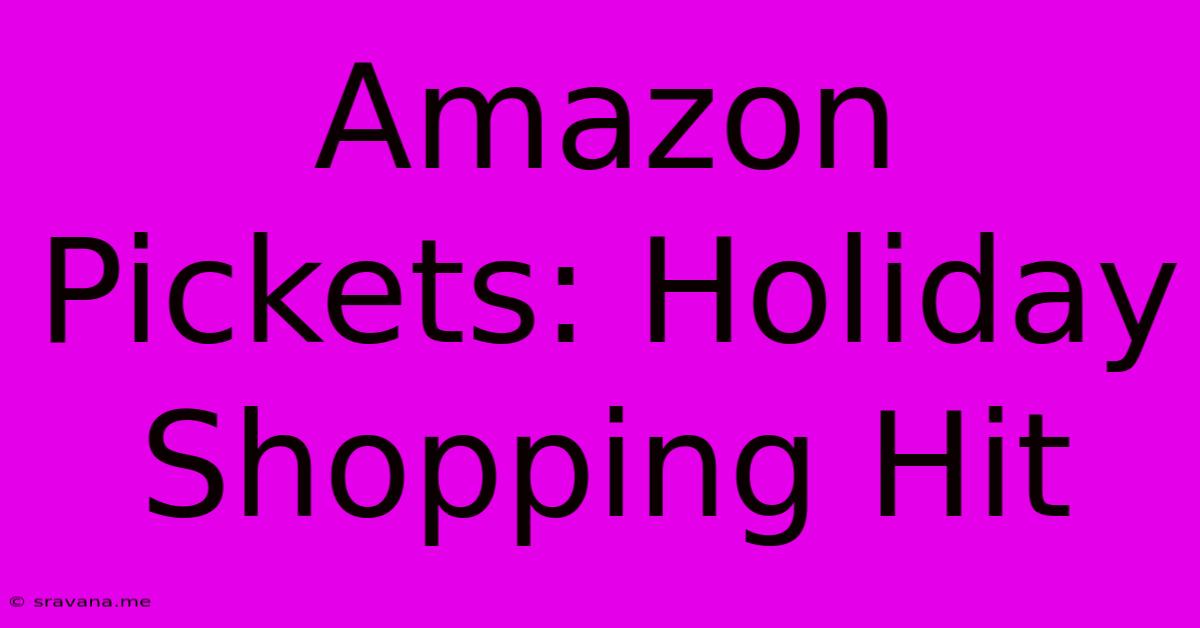 Amazon Pickets: Holiday Shopping Hit