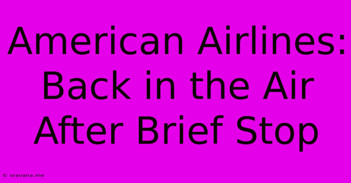 American Airlines: Back In The Air After Brief Stop