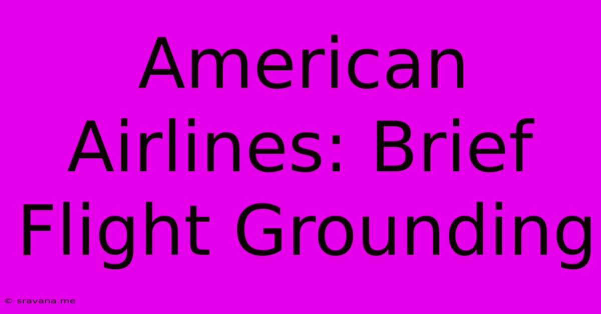 American Airlines: Brief Flight Grounding