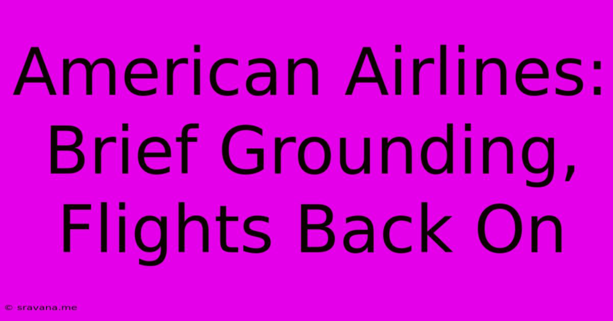 American Airlines: Brief Grounding, Flights Back On