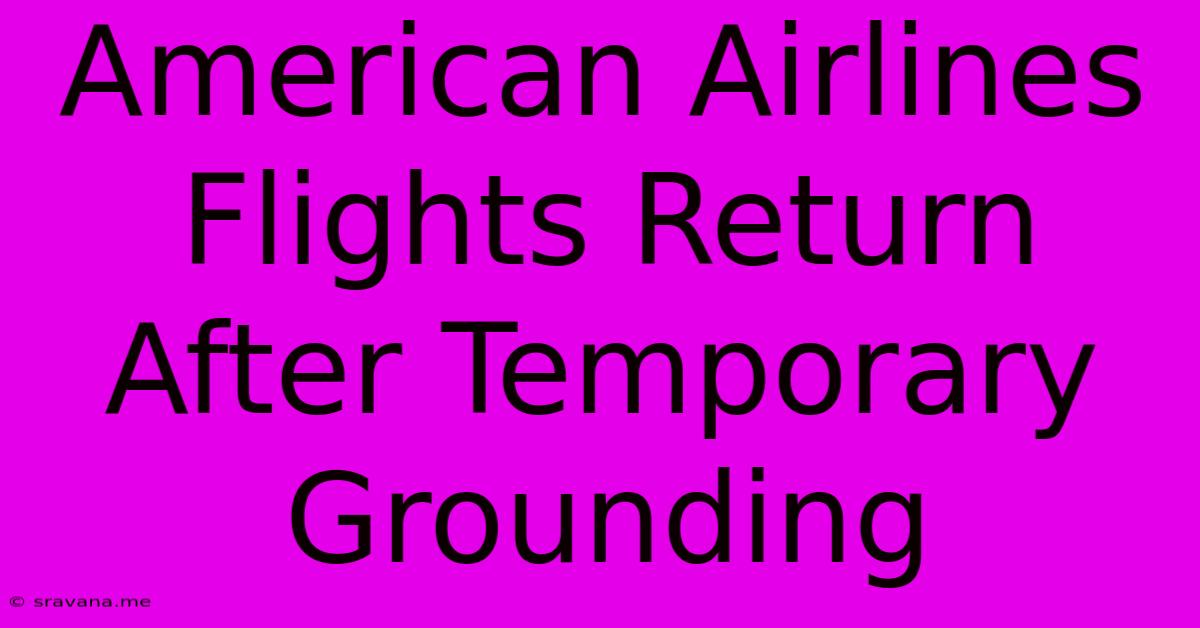 American Airlines Flights Return After Temporary Grounding