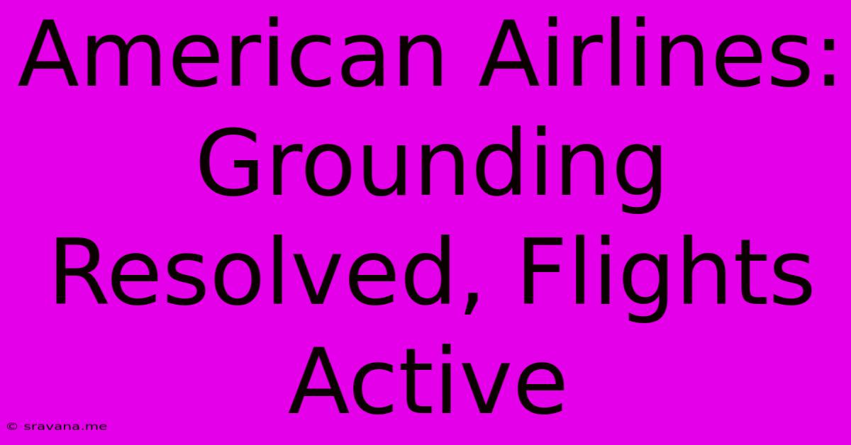 American Airlines: Grounding Resolved, Flights Active