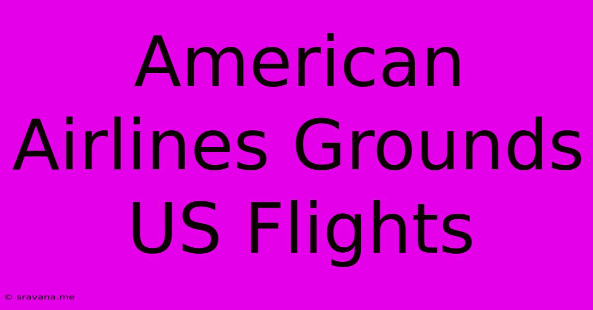 American Airlines Grounds US Flights