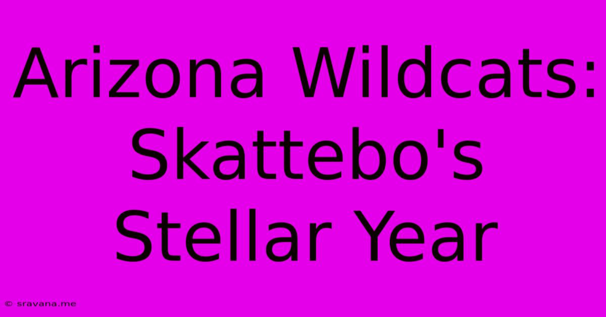 Arizona Wildcats: Skattebo's Stellar Year