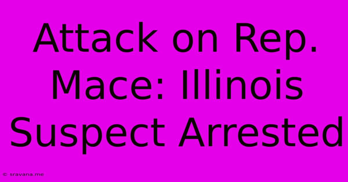 Attack On Rep. Mace: Illinois Suspect Arrested