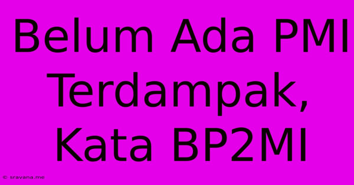 Belum Ada PMI Terdampak, Kata BP2MI