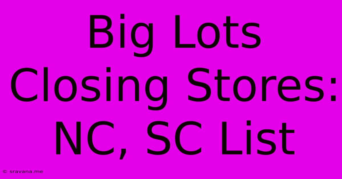 Big Lots Closing Stores: NC, SC List