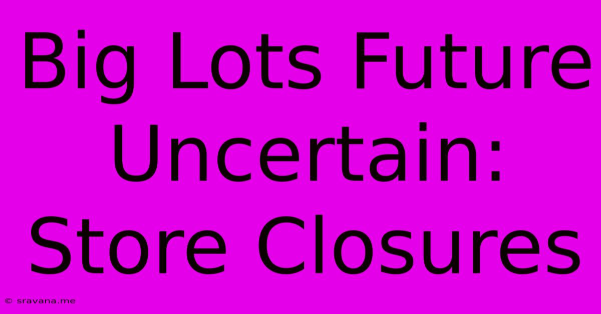 Big Lots Future Uncertain: Store Closures