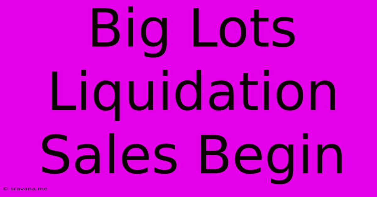 Big Lots Liquidation Sales Begin