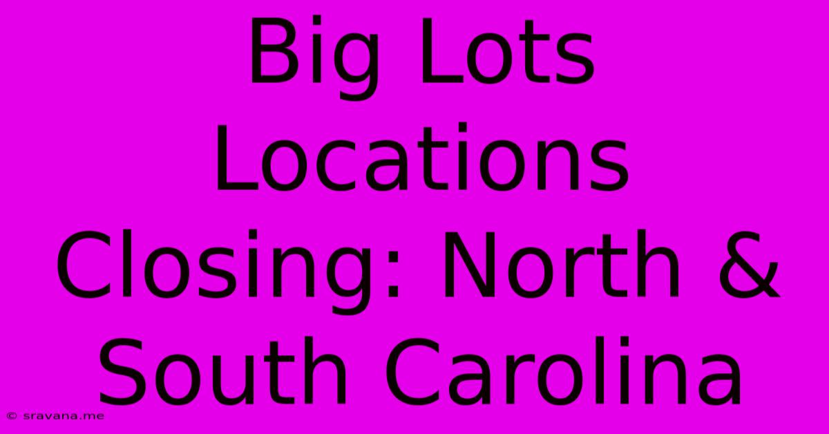 Big Lots Locations Closing: North & South Carolina