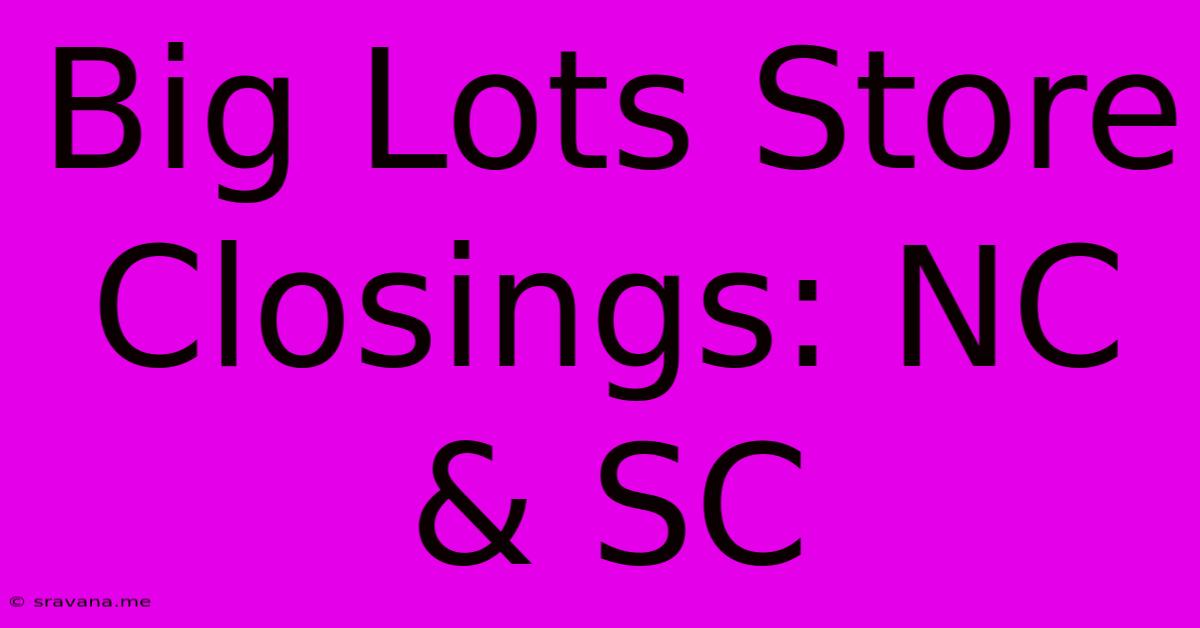 Big Lots Store Closings: NC & SC