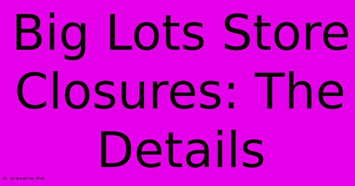 Big Lots Store Closures: The Details