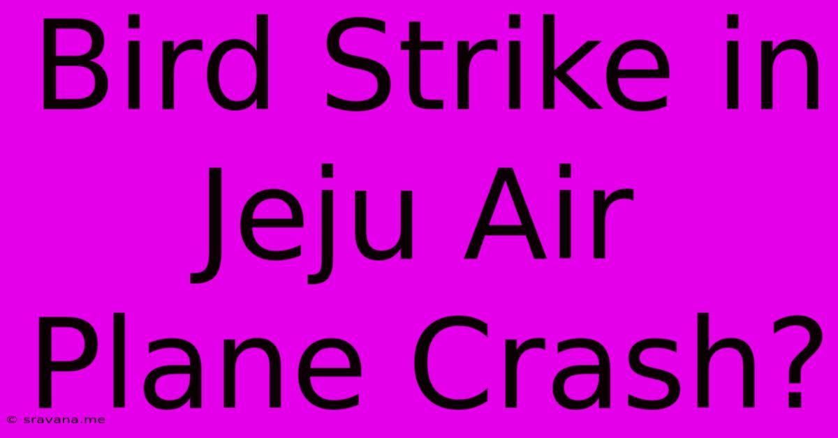 Bird Strike In Jeju Air Plane Crash?