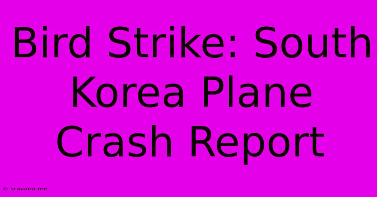 Bird Strike: South Korea Plane Crash Report