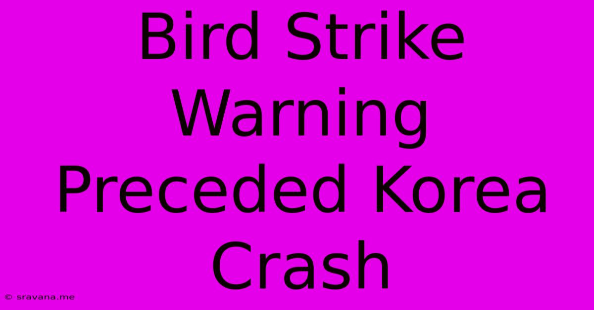 Bird Strike Warning Preceded Korea Crash