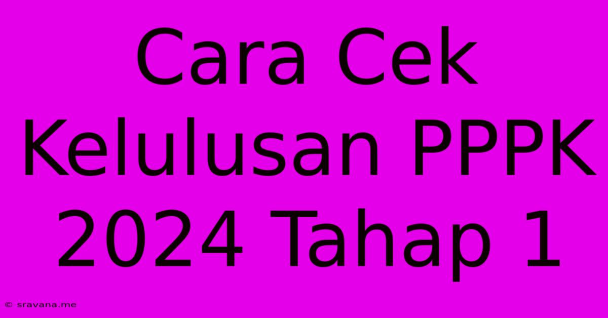 Cara Cek Kelulusan PPPK 2024 Tahap 1