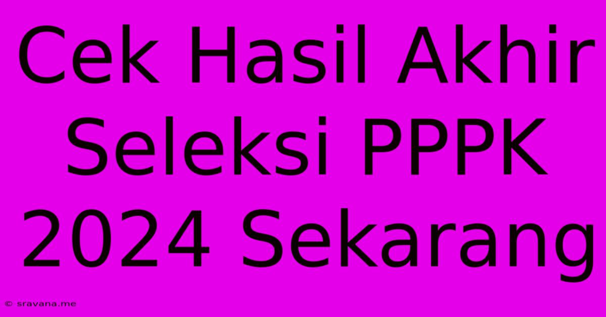 Cek Hasil Akhir Seleksi PPPK 2024 Sekarang