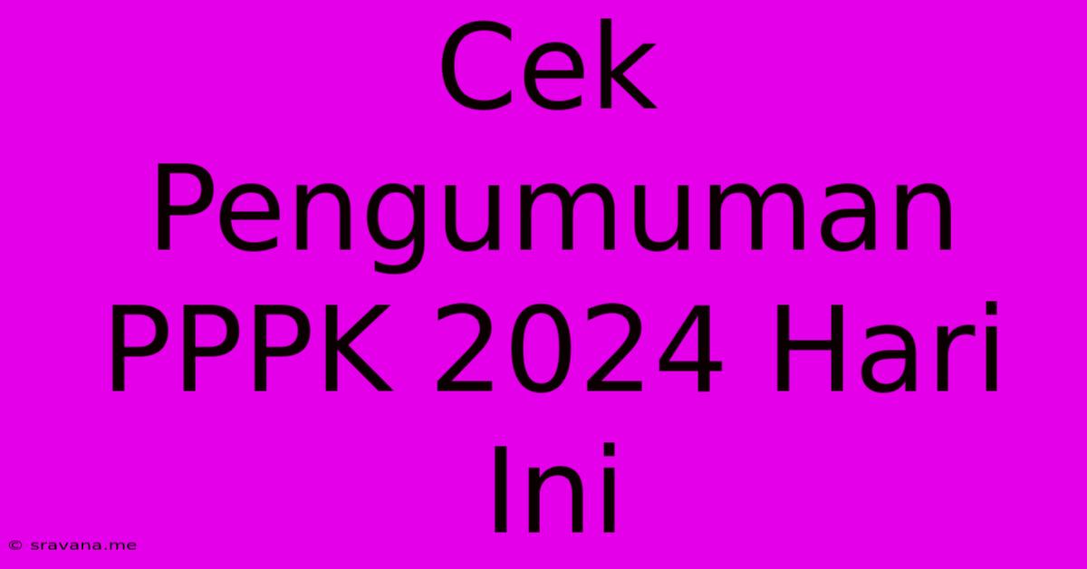 Cek Pengumuman PPPK 2024 Hari Ini