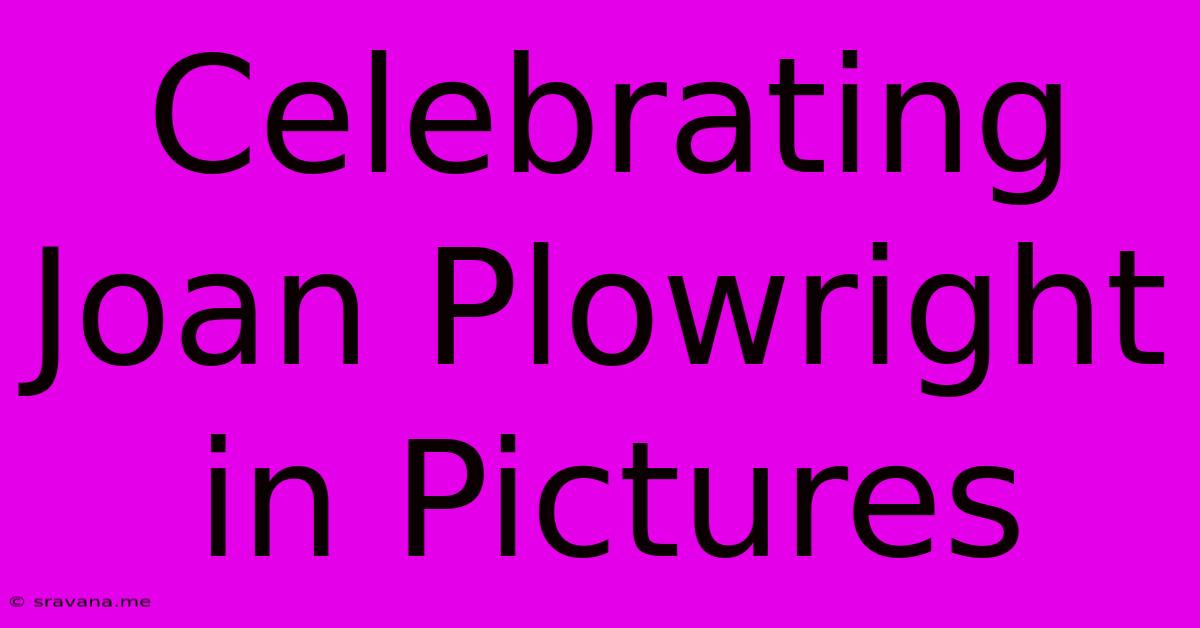 Celebrating Joan Plowright In Pictures