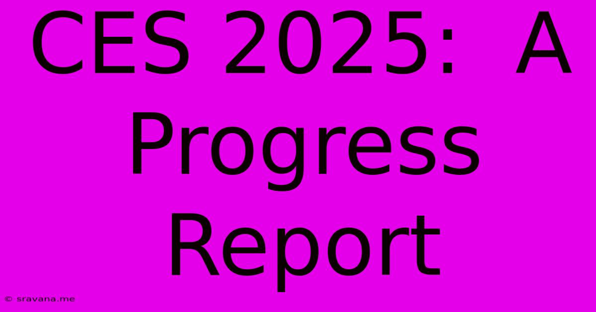 CES 2025:  A Progress Report