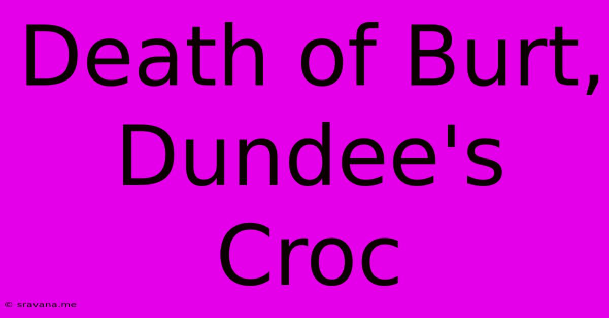 Death Of Burt, Dundee's Croc