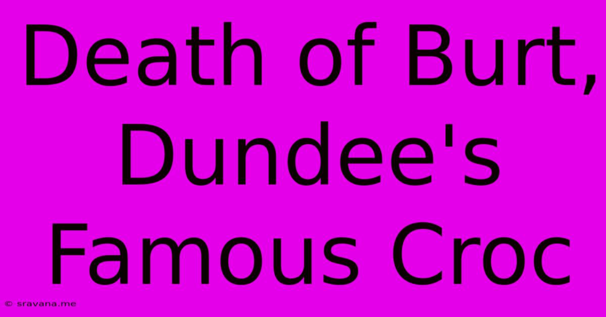 Death Of Burt, Dundee's Famous Croc