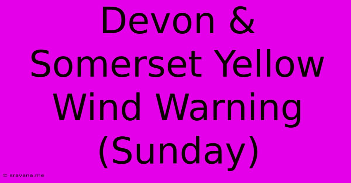 Devon & Somerset Yellow Wind Warning (Sunday)