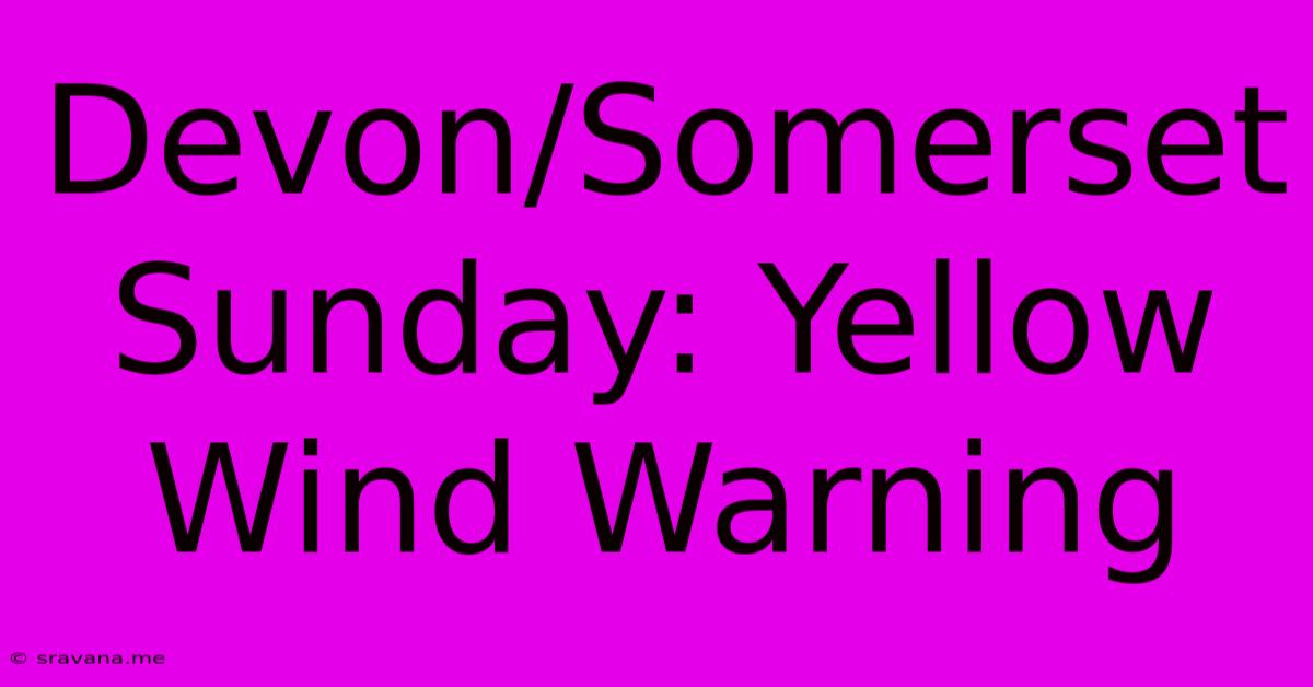 Devon/Somerset Sunday: Yellow Wind Warning