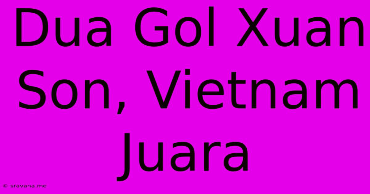 Dua Gol Xuan Son, Vietnam Juara