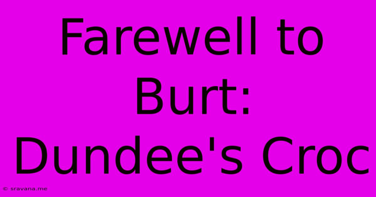 Farewell To Burt: Dundee's Croc