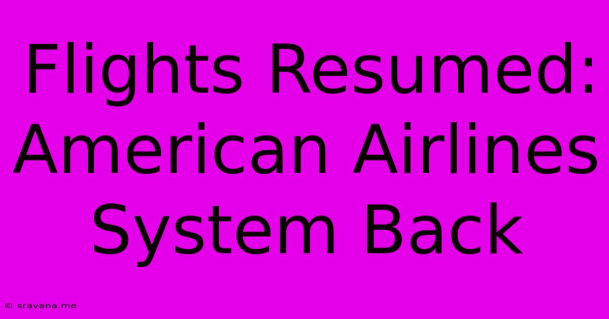 Flights Resumed: American Airlines System Back