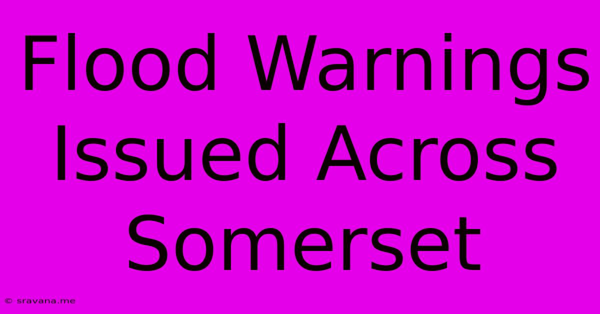 Flood Warnings Issued Across Somerset