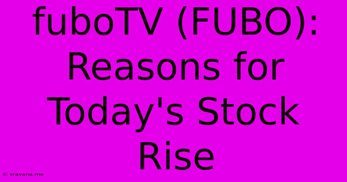 FuboTV (FUBO):  Reasons For Today's Stock Rise