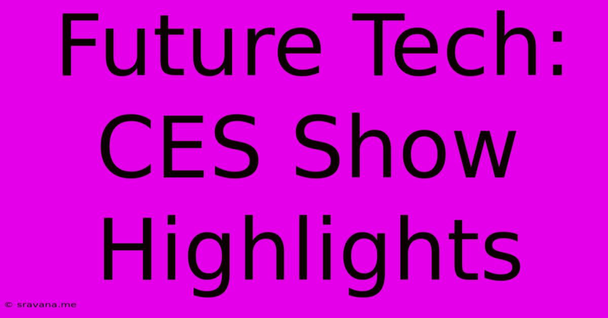 Future Tech: CES Show Highlights