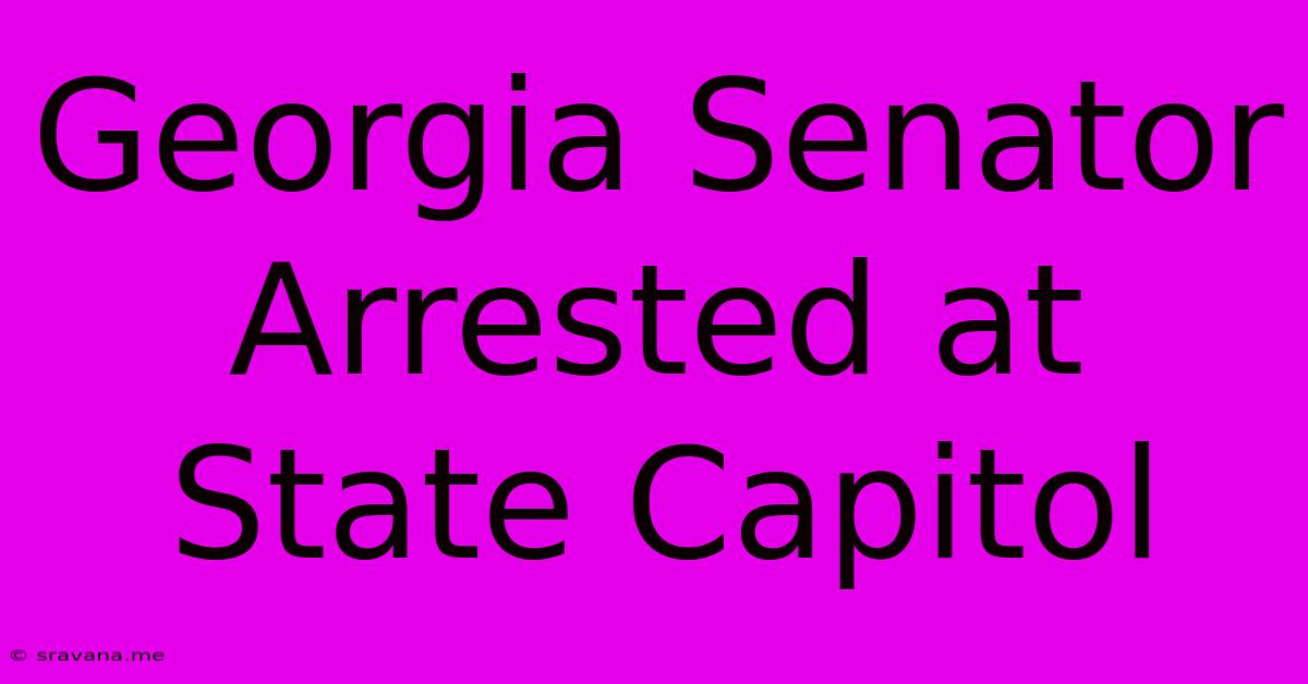 Georgia Senator Arrested At State Capitol