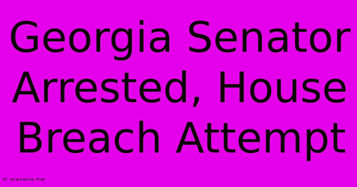 Georgia Senator Arrested, House Breach Attempt