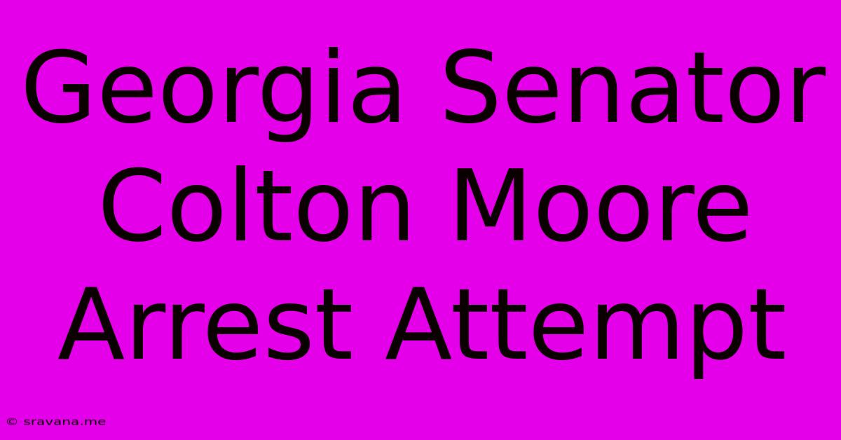 Georgia Senator Colton Moore Arrest Attempt