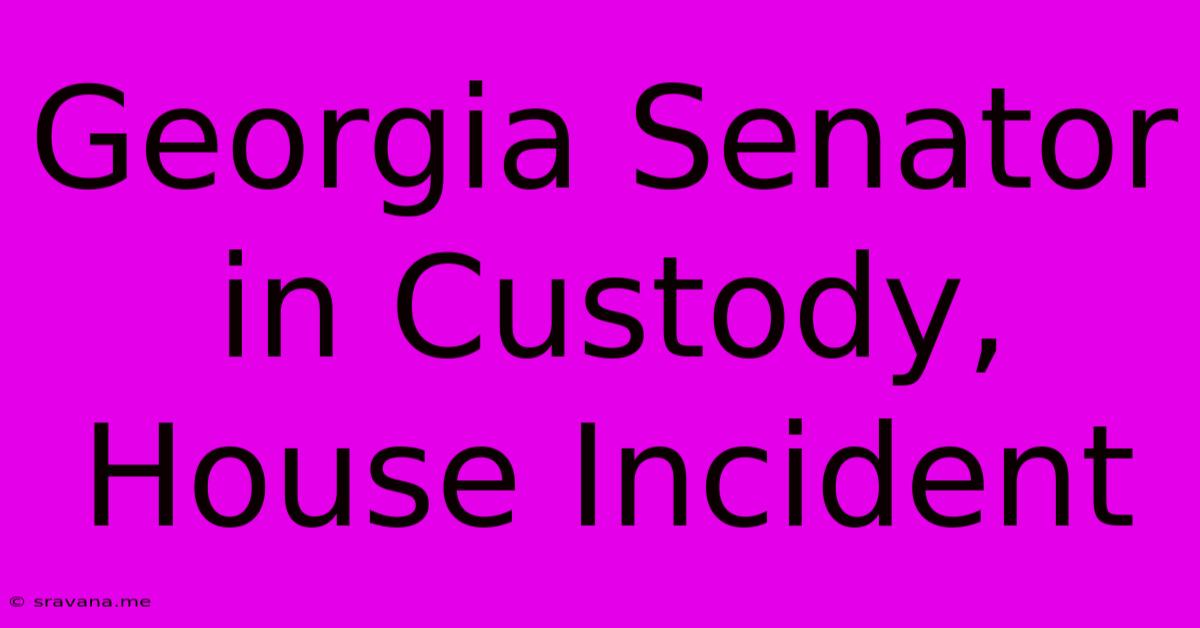 Georgia Senator In Custody, House Incident