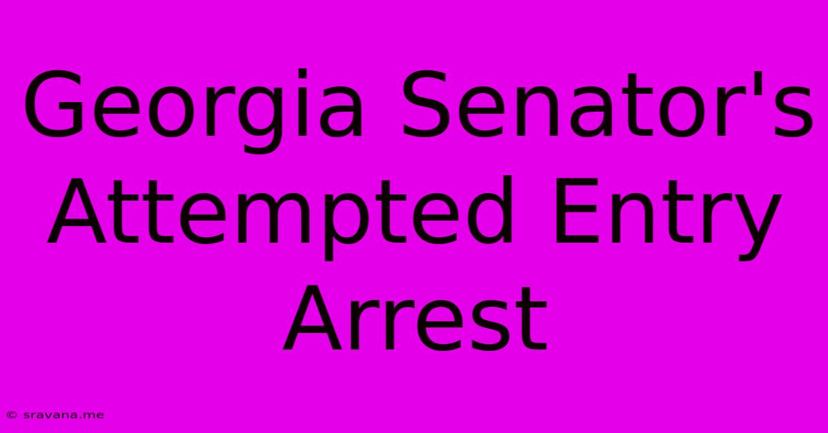 Georgia Senator's Attempted Entry Arrest