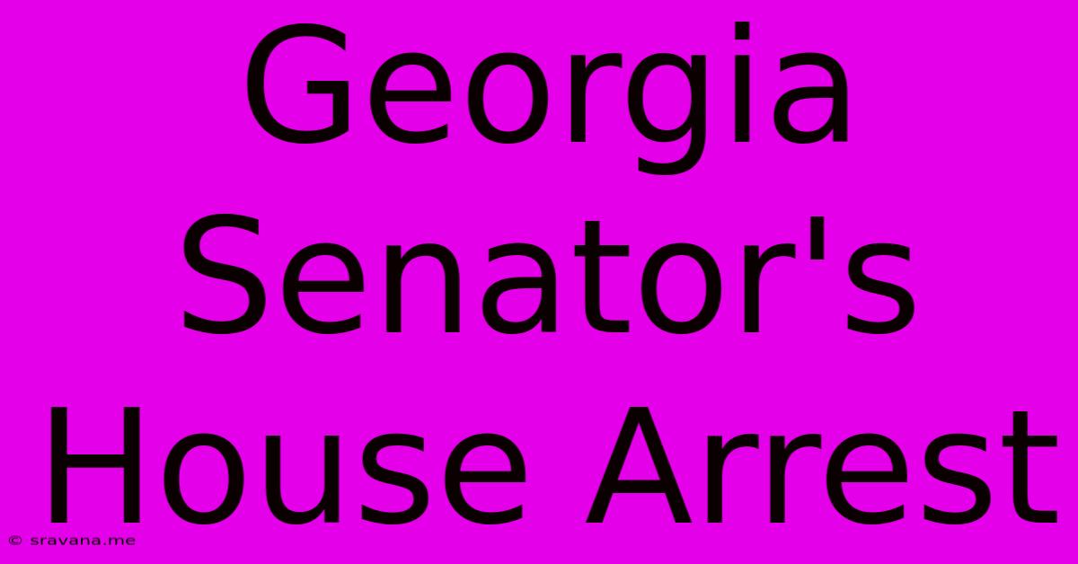 Georgia Senator's House Arrest