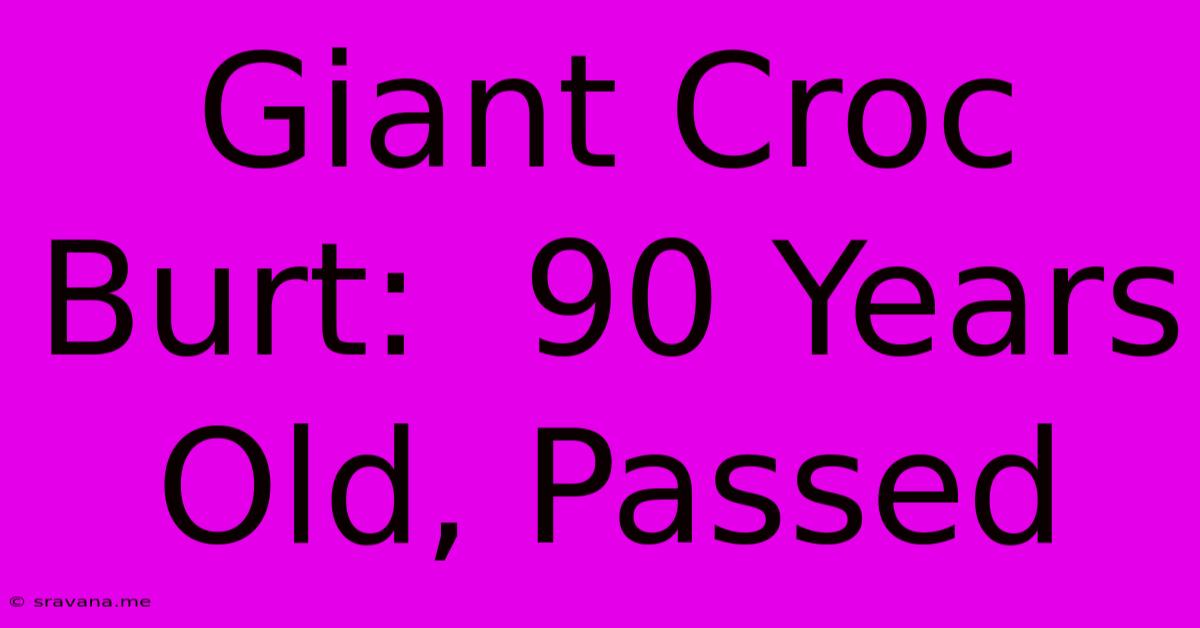 Giant Croc Burt:  90 Years Old, Passed