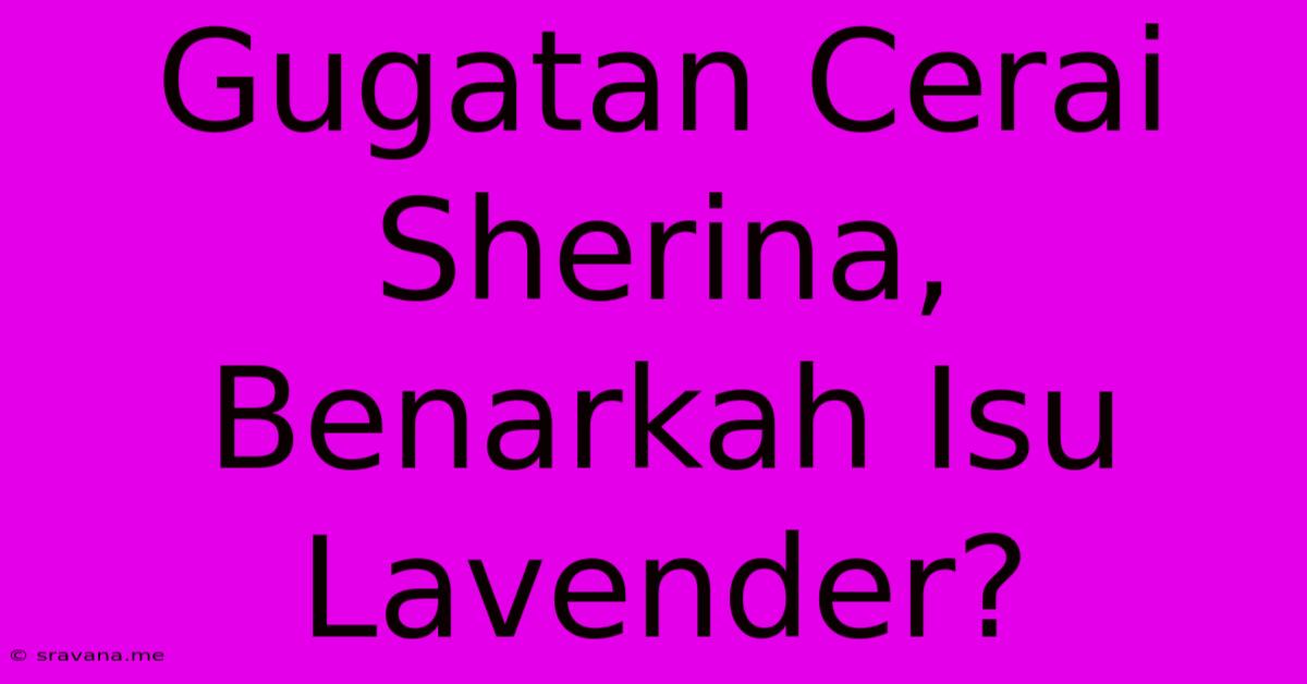 Gugatan Cerai Sherina, Benarkah Isu Lavender?