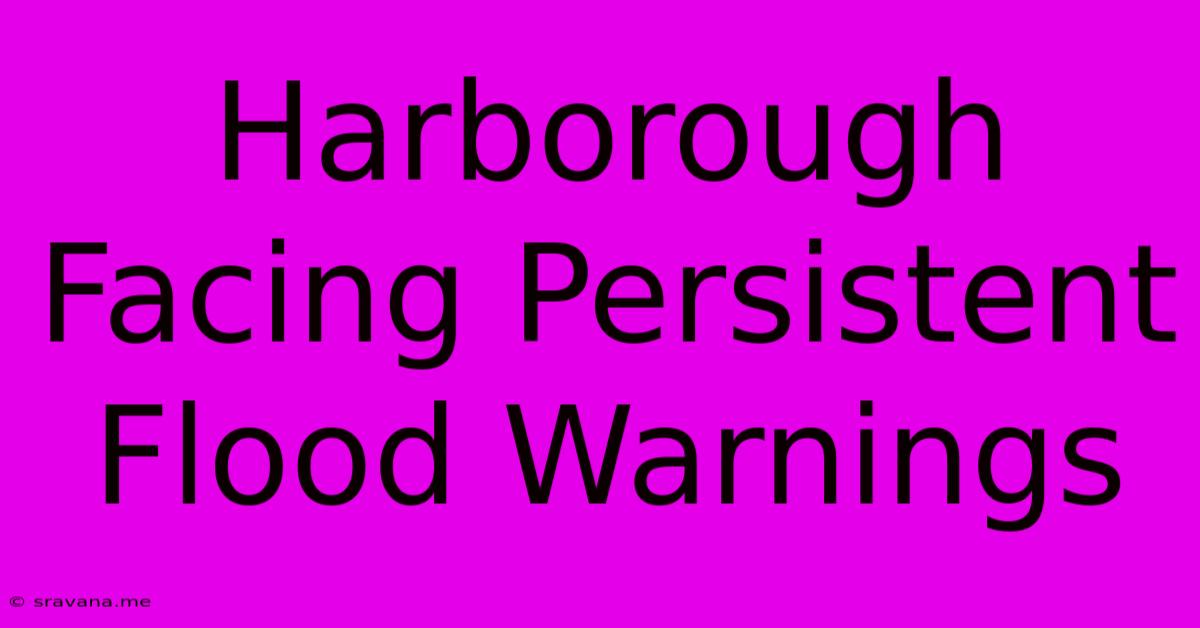 Harborough Facing Persistent Flood Warnings