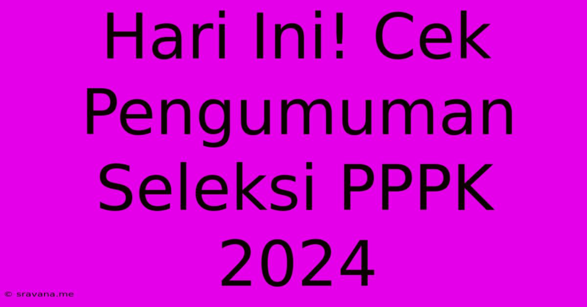 Hari Ini! Cek Pengumuman Seleksi PPPK 2024