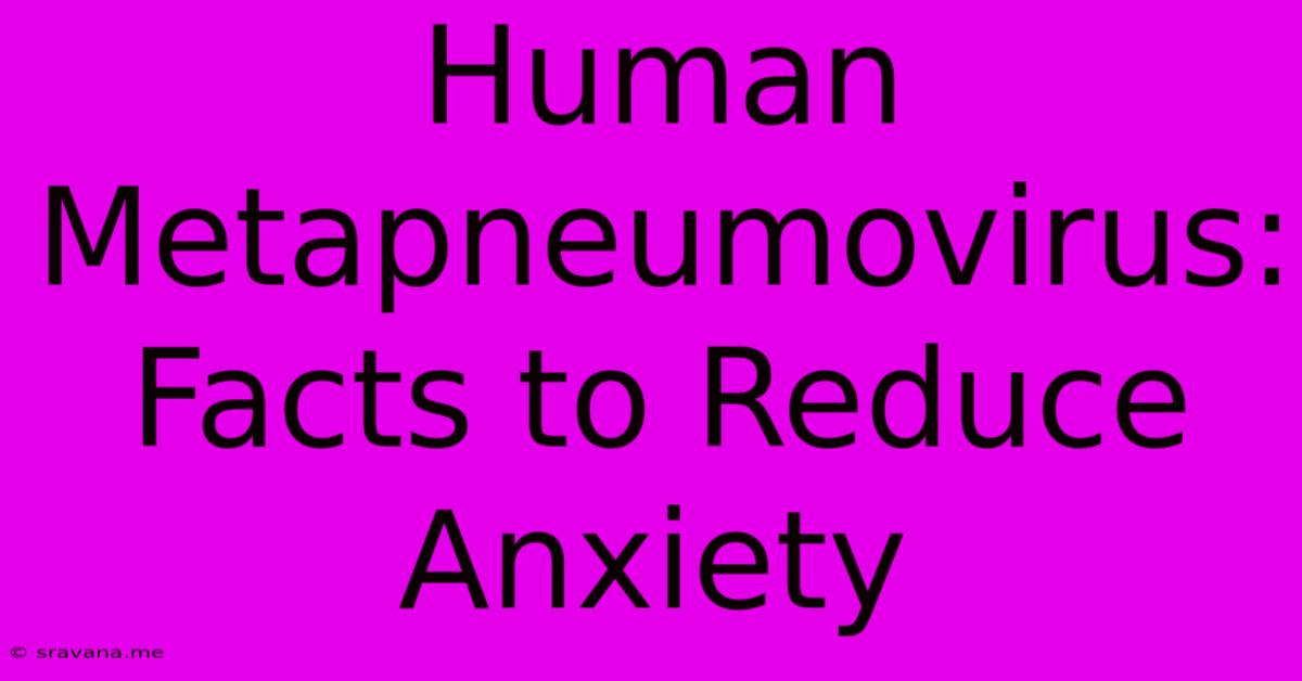 Human Metapneumovirus: Facts To Reduce Anxiety