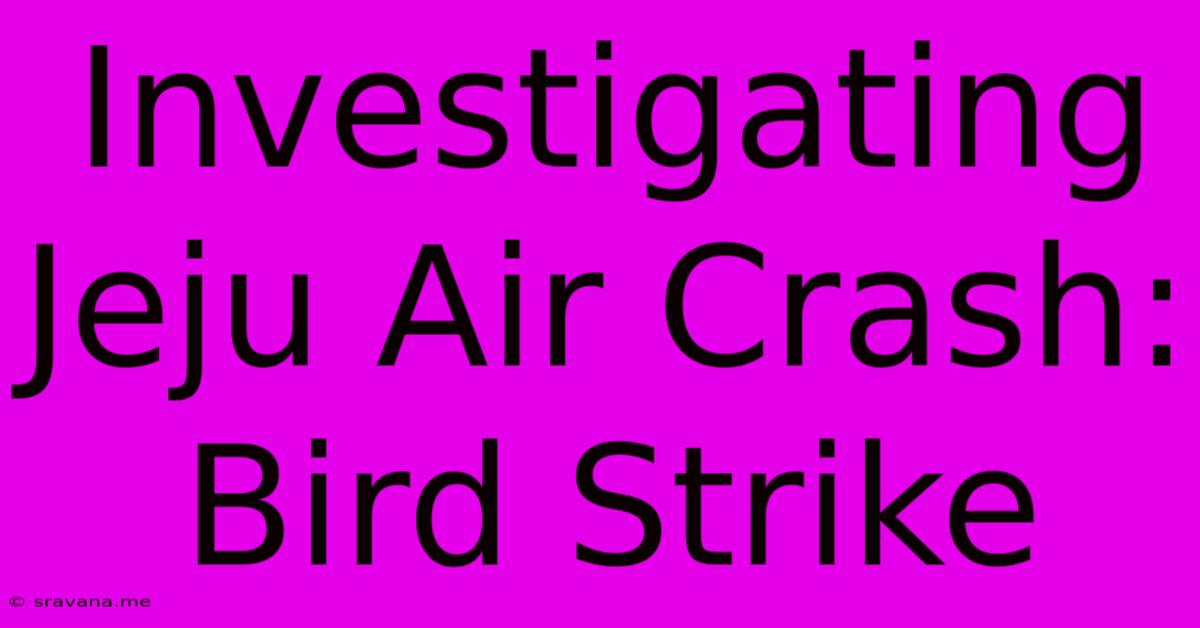 Investigating Jeju Air Crash: Bird Strike