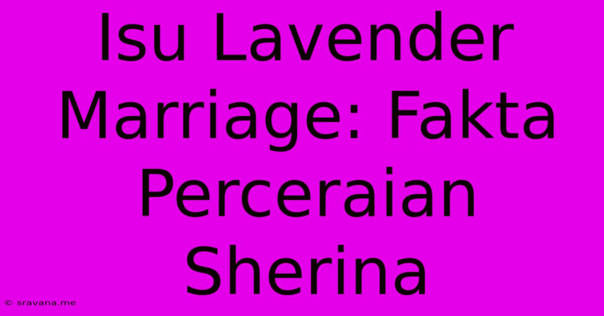 Isu Lavender Marriage: Fakta Perceraian Sherina