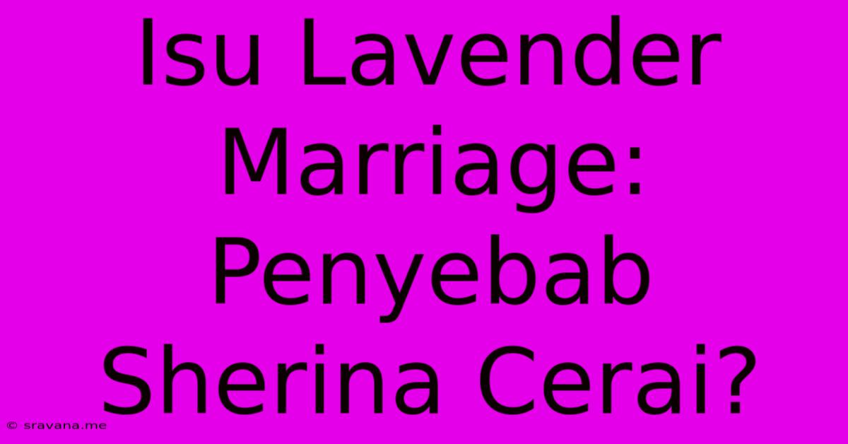 Isu Lavender Marriage: Penyebab Sherina Cerai?